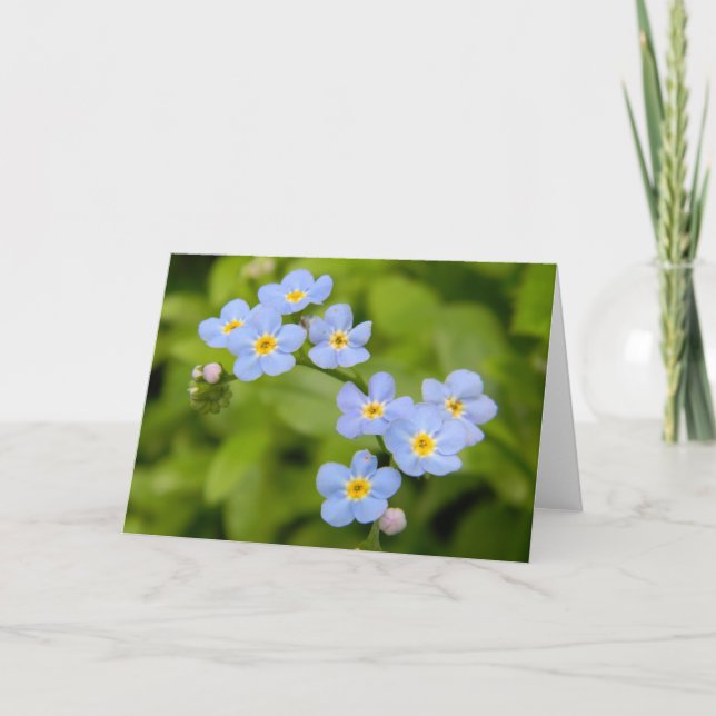 Carte Forget-Me-Not 1 (Devant)