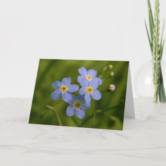 Carte Forget-Me-Not 2 (Devant)