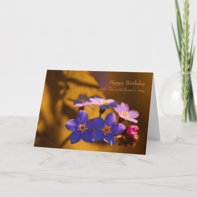 Carte Forget-me-not Wildflower song CC0262 Birthday (Devant)