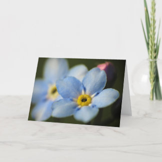 Carte Forget Me-Nots 12 Sympathy Card
