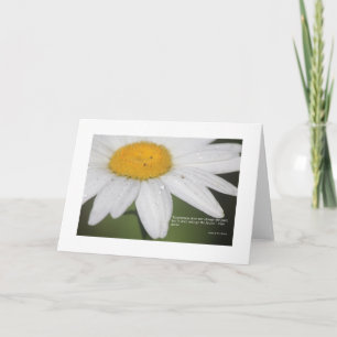 Carte Forgiveness