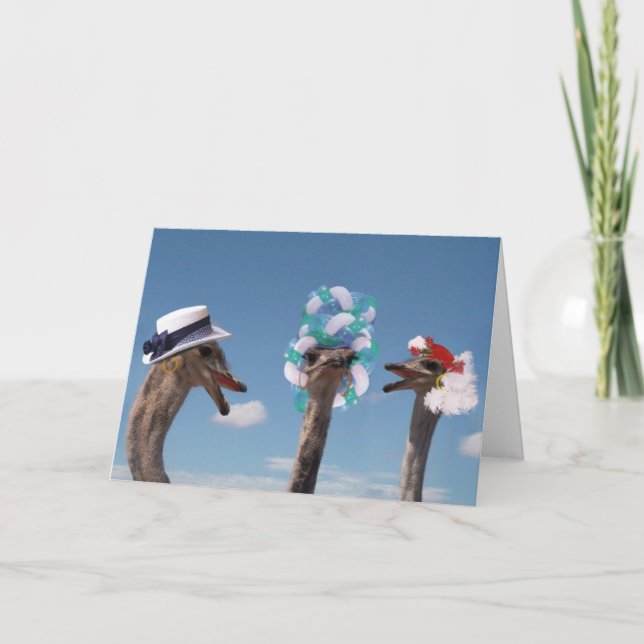 Carte Fou Casquette Day aux courses (Devant)