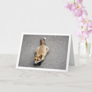Carte Fox Cub assis sur le portrait de rue