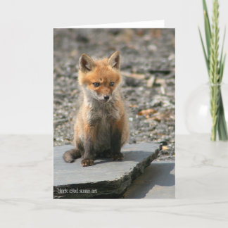 Carte Fox Pup