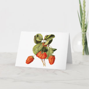 Carte Framboise Fruit Vintage Illustration botanique
