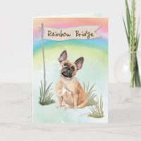 Français Bulldog Pet Sympathie sur Rainbow Bridge