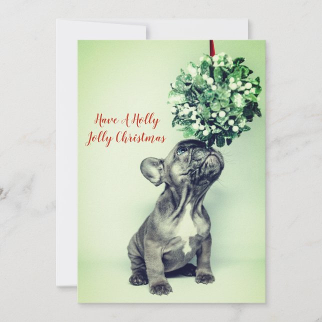 Carte Française Bulldog Puppy And Mistletoe (Devant)