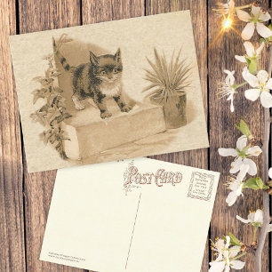 Carte française d'antiquité avec dessin de chat Vi