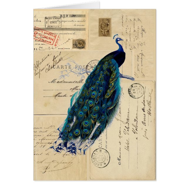 Carte française de cartes postales de paon (Devant)