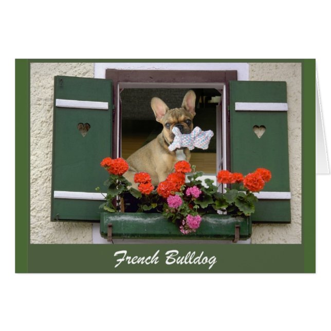 Carte française de voeux (Devant horizontal)