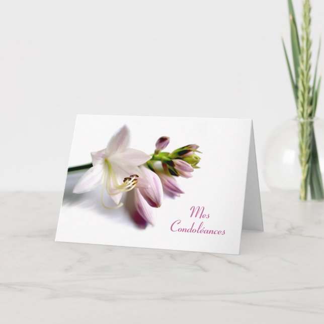 Carte Française Sympathie Mes Condines Hosta Flower (Devant)