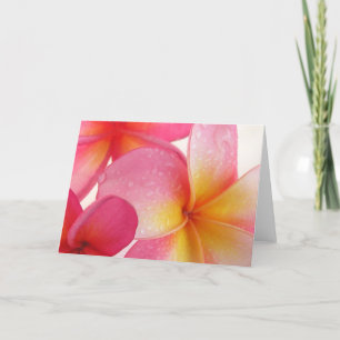 Carte Frangipani