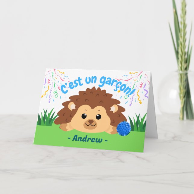 Carte French Baby Boy Félicitations à Hedgehog (Devant)