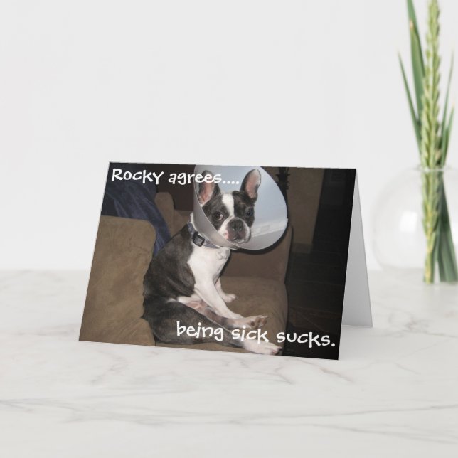 Carte French Bulldog Get Well Soon (Devant)