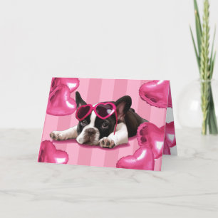 Carte French Bulldog Puppy