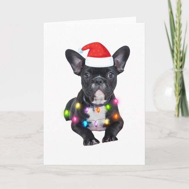Carte frenchies cadeau de noël pour les amoureux du bull (Devant)