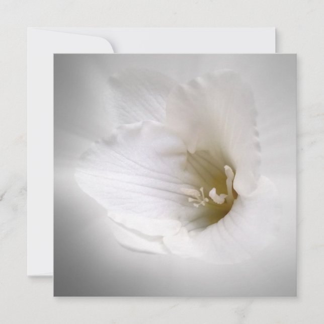 Carte frénésie blanche (Devant)