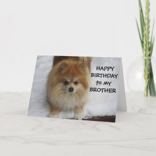 CARTE "FRÈRE" JEUX ANNIVERSAIRE DIT LE POMERANIEN