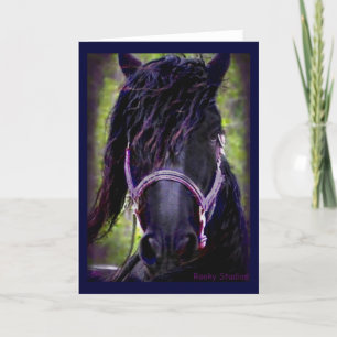 Carte Friesian Stallion