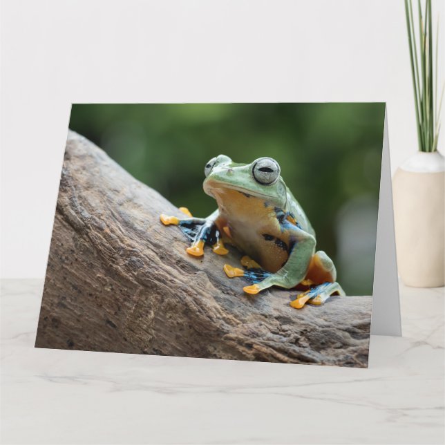 Carte Frog Texte Personnalisée (Devant)