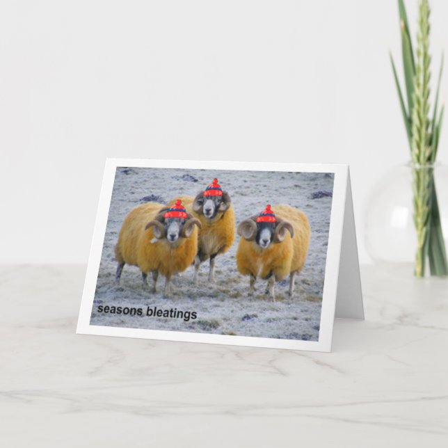 carte froide brebis (Devant)
