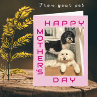 From The Pet - Meilleure Maman Jour des Mères