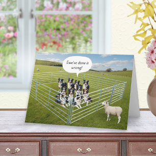 Carte Frontière Collie Chiens et moutons Anniversaire am