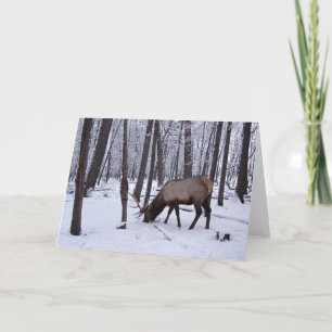 Carte Frozen Forest