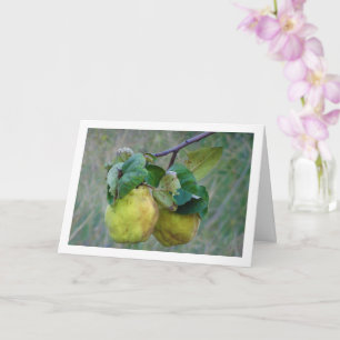 Carte Fruit de coing