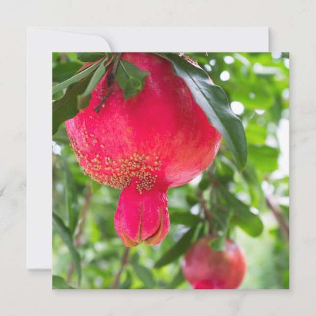 Carte Fruit de grenade (Devant)