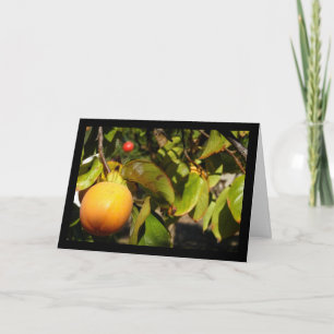 Carte Fruit de kaki dans l'arbre