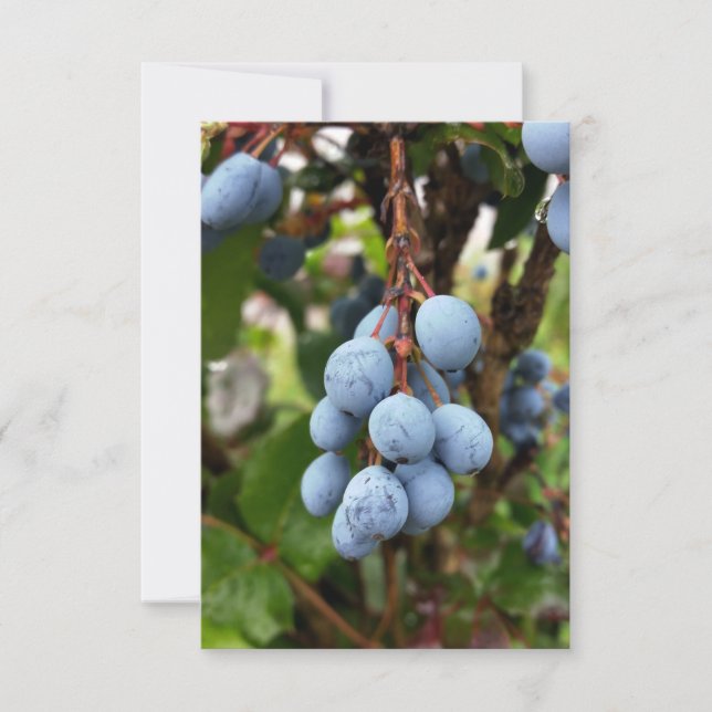 Carte Fruit d'épine noire (Devant)