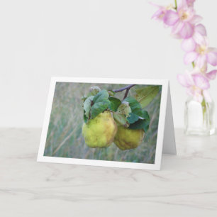 Carte Fruit Quince