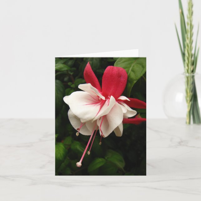 Carte Fuchia Blossom Notecard (Devant)