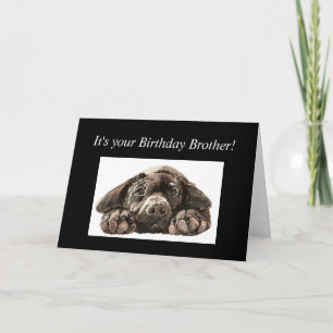 Carte Fun Anniversaire Brother Sad Chien Labrador Retrie