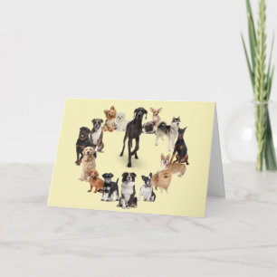 Carte Fun Chien race Animaux de compagnie Chien Marcher 