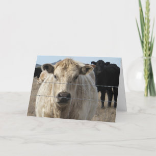 Carte Fun Félicitations Graduation Ranch Animaux de ferm