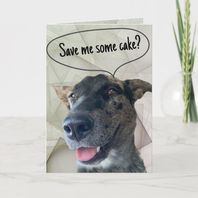 Carte Fun Grey Brindle Chien de bétail Photo (Devant)