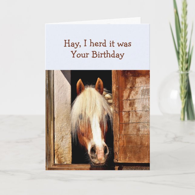 Carte Fun Hay J'ai dit que c'était ton anniversaire Chev (Devant)