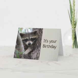 Carte Fun Raccoon Dans un endroit serré Anniversaire 