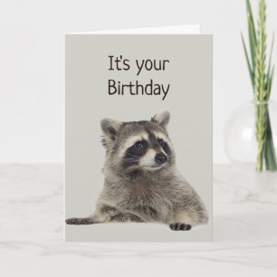Carte Fun Raccoon n'a pas d'argent pour un cadeau