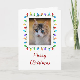 Carte Fun Vacances Lumières Animaux de compagnie Cadre p