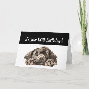 Carte Funny 60e anniversaire, Labrador Retriever