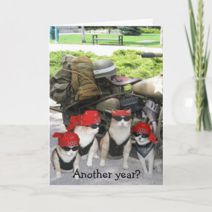 Carte Funny Biker Chats Anniversaire