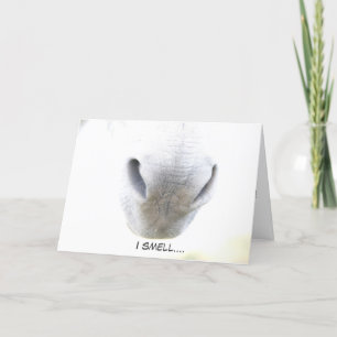 Carte Funny Birthday