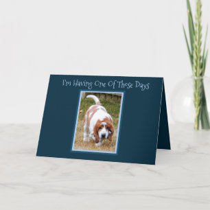 Carte Funny Birthday Card