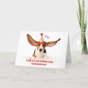 Carte Funny birthday card Basset hound dog with big ears