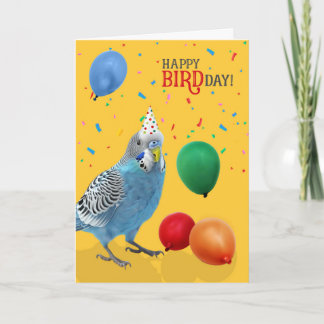 Carte Funny Blue and White Budgie Parakeet Birthday