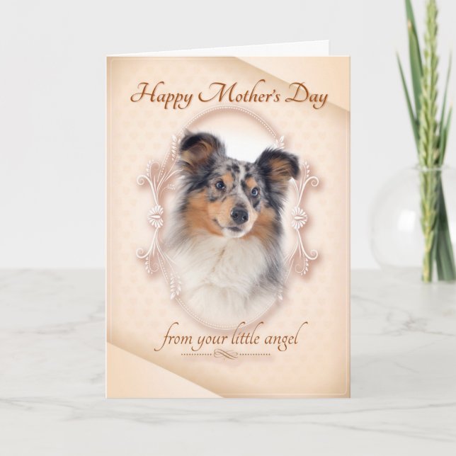 Carte Funny Blue Merle Sheltie Mère's Day Card (Devant)