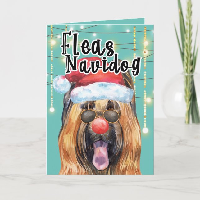 Carte Funny Briard chien dans les lumières puces navidog (Devant)